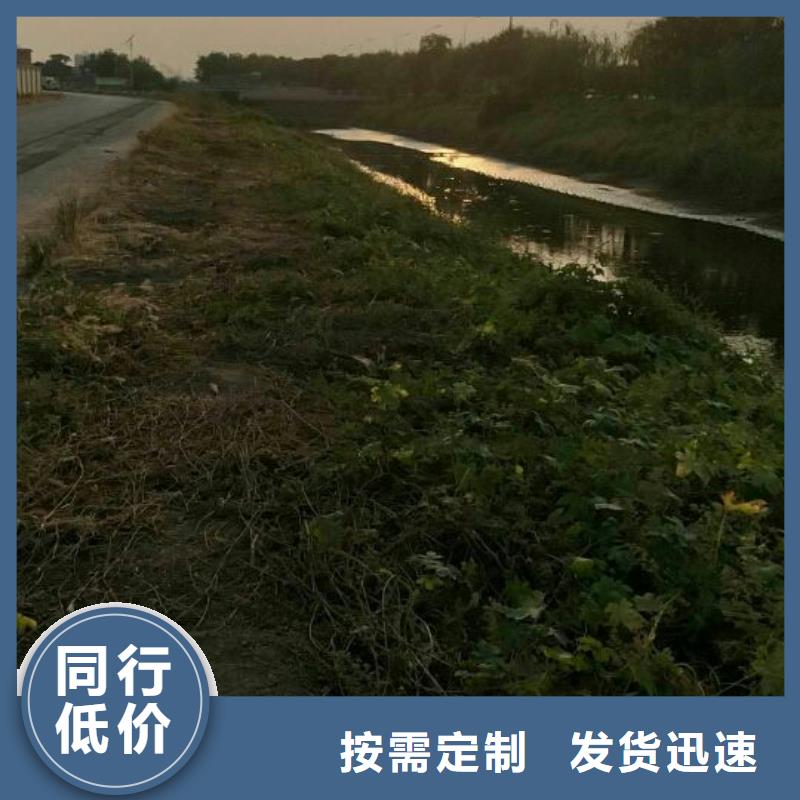 污泥处理-固废免烧砖固化剂敢与同行比价格
