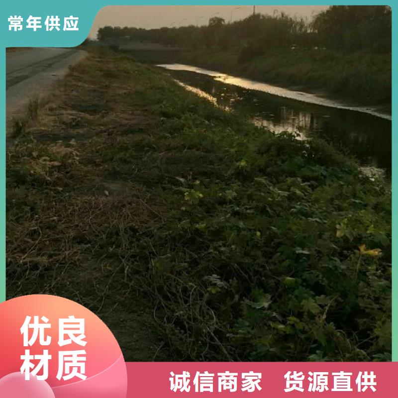 固宝康沙土固化剂【 污泥处理-固废免烧砖固化剂专业完善售后】