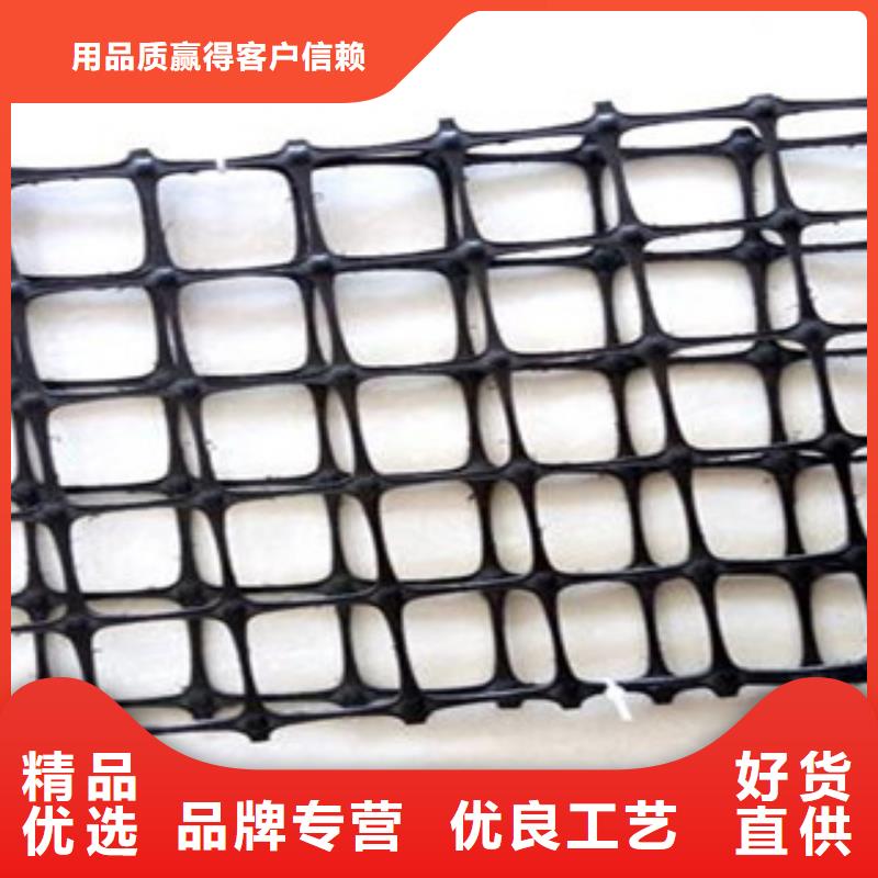 双向塑料格栅三维植被网多种优势放心选择
