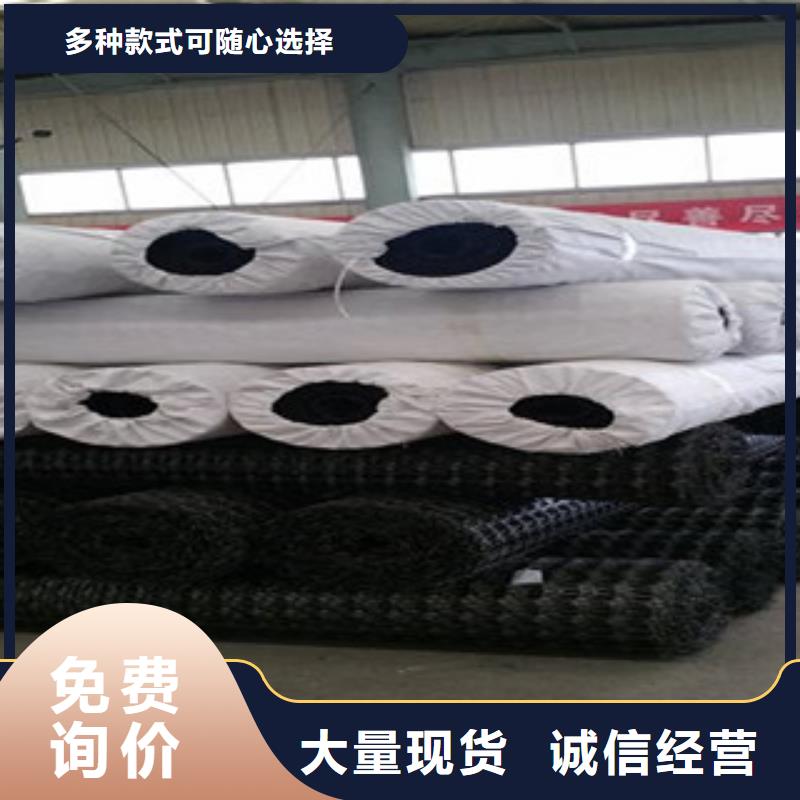 双向塑料格栅三维植被网多种优势放心选择