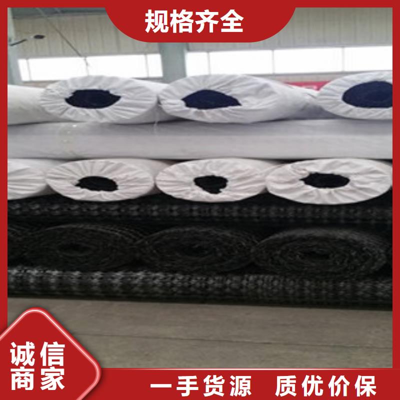 双向塑料格栅玻纤土工格栅按需定制真材实料
