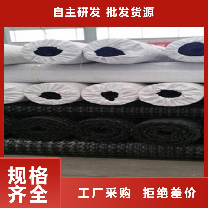 双向塑料格栅,膨润土防水毯诚信经营现货现发