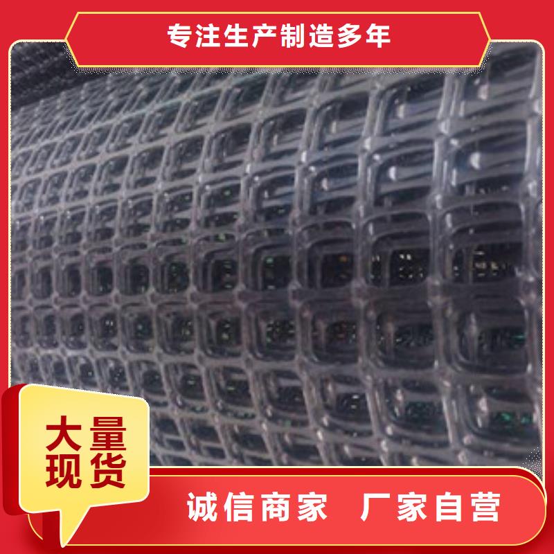 双向塑料格栅三维植被网多种优势放心选择