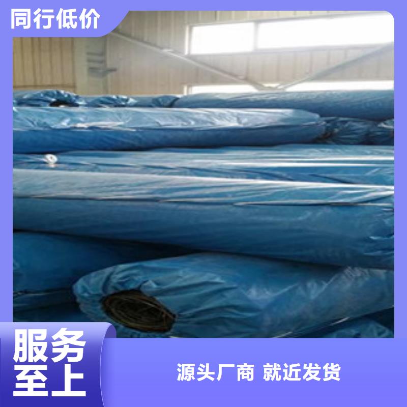 三维植被网视频-福建省漳州市路德三维植被网可服务区域东山|云霄|三明|福州|泉州|莆田|厦门|龙岩|南平等