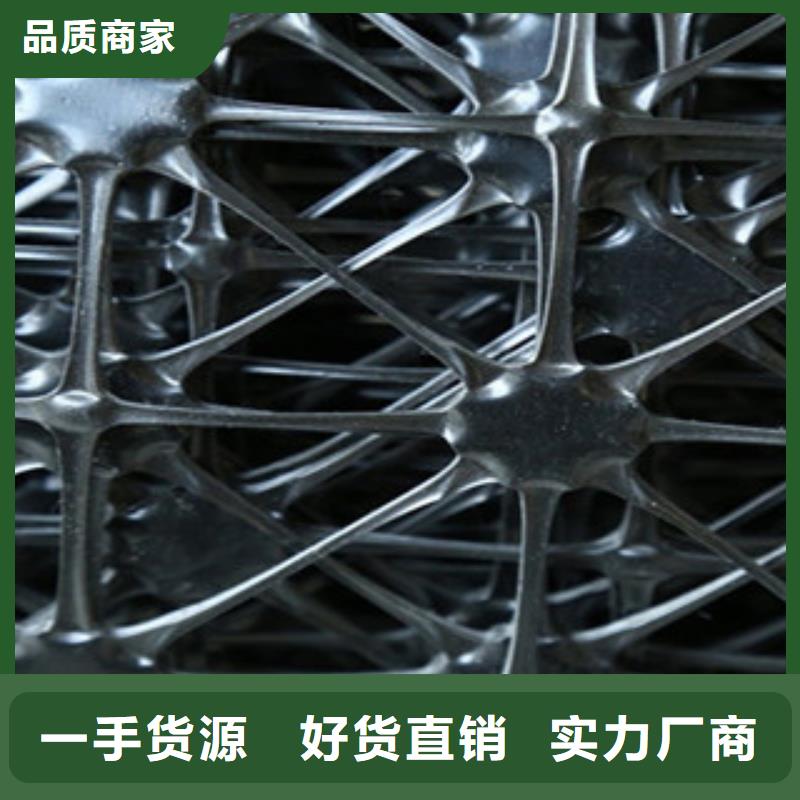 双向塑料格栅塑料土工格栅检验发货