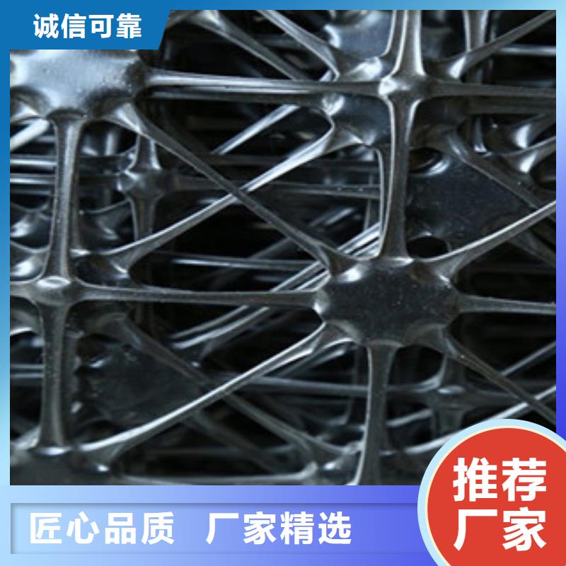 双向塑料格栅塑料土工格栅检验发货
