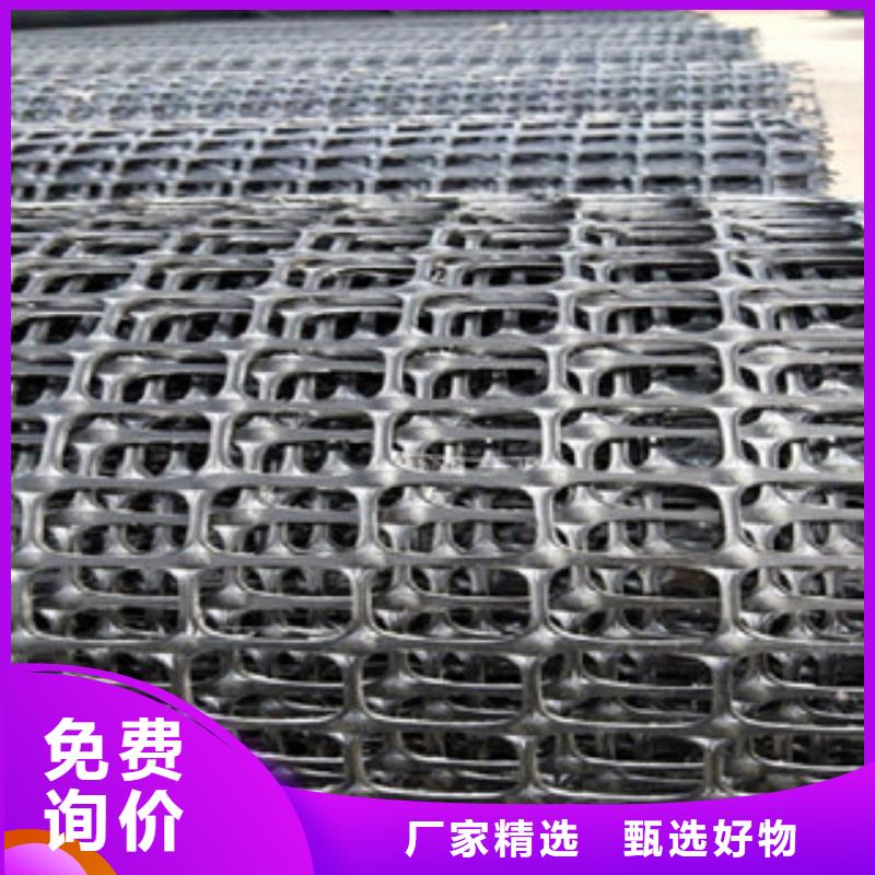 双向塑料格栅三维植被网多种优势放心选择