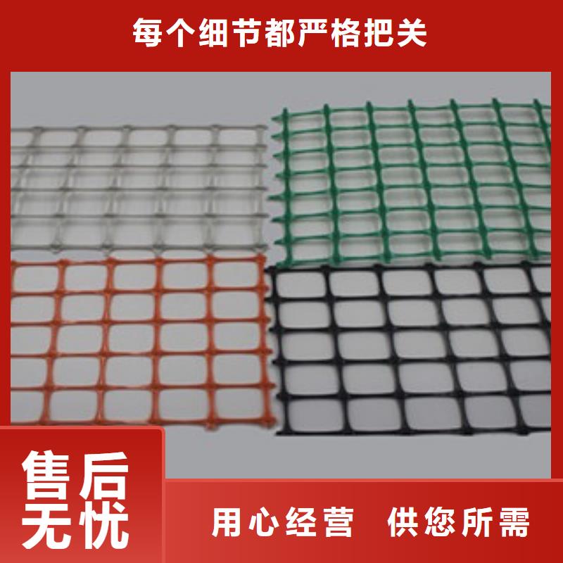 双向塑料格栅三维植被网保质保量