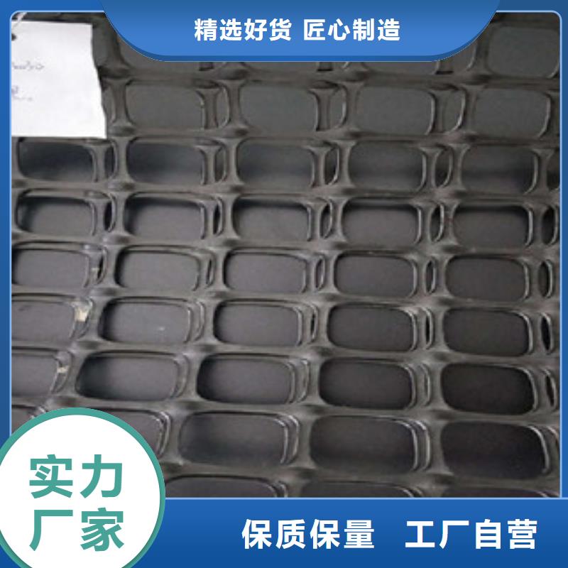 双向塑料格栅三维植被网多种优势放心选择