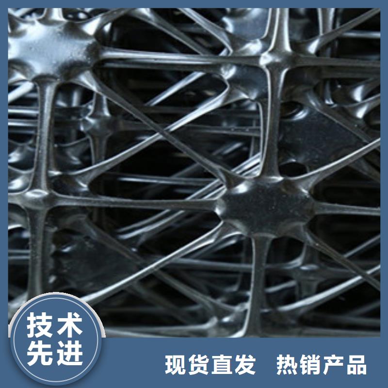 双向塑料格栅三维植被网多种优势放心选择