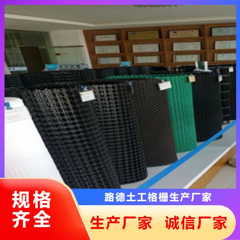 钢塑土工格栅三维植被网今年新款