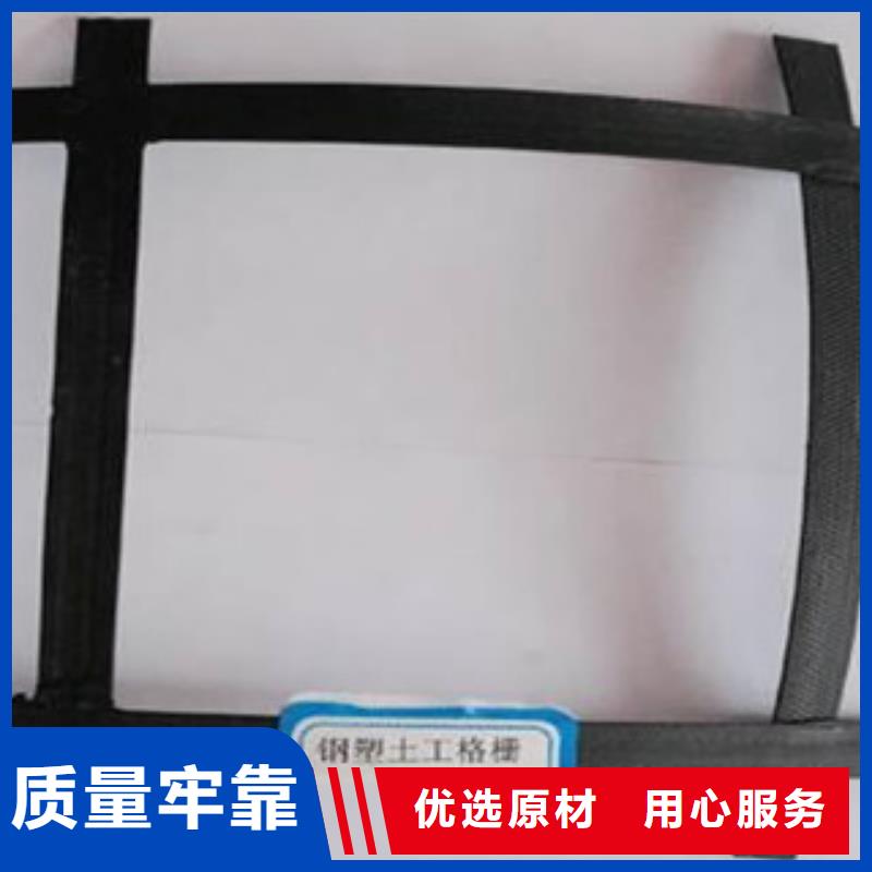 三维植被网视频-三维植被网-河南省商丘市睢县|柘城|濮阳|开封|信阳|平顶山(本地)生产厂家