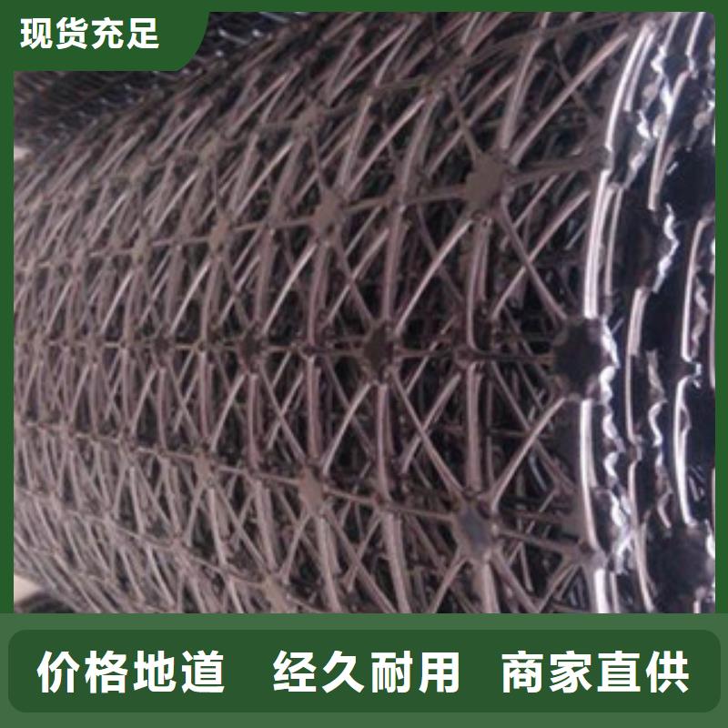 钢塑土工格栅三维植被网今年新款