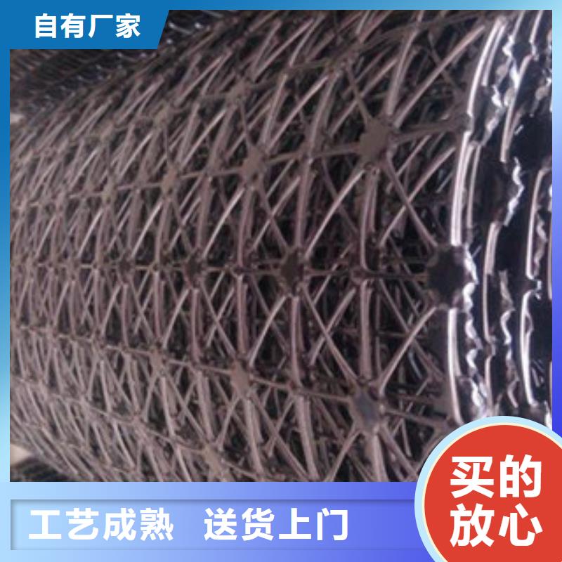 钢塑土工格栅,塑料土工格栅现货批发