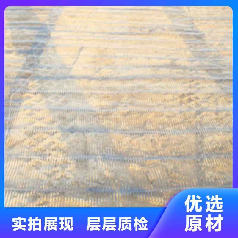 单向塑料格栅三维植被网质量检测