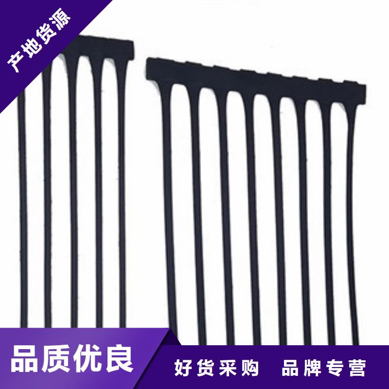 单向塑料格栅玻纤土工格栅厂家实力雄厚