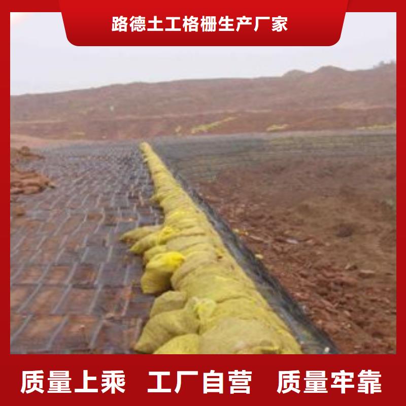 【 单向塑料格栅 塑料土工格栅来电咨询】 路德土工格栅生产厂家(漯河市分公司)
