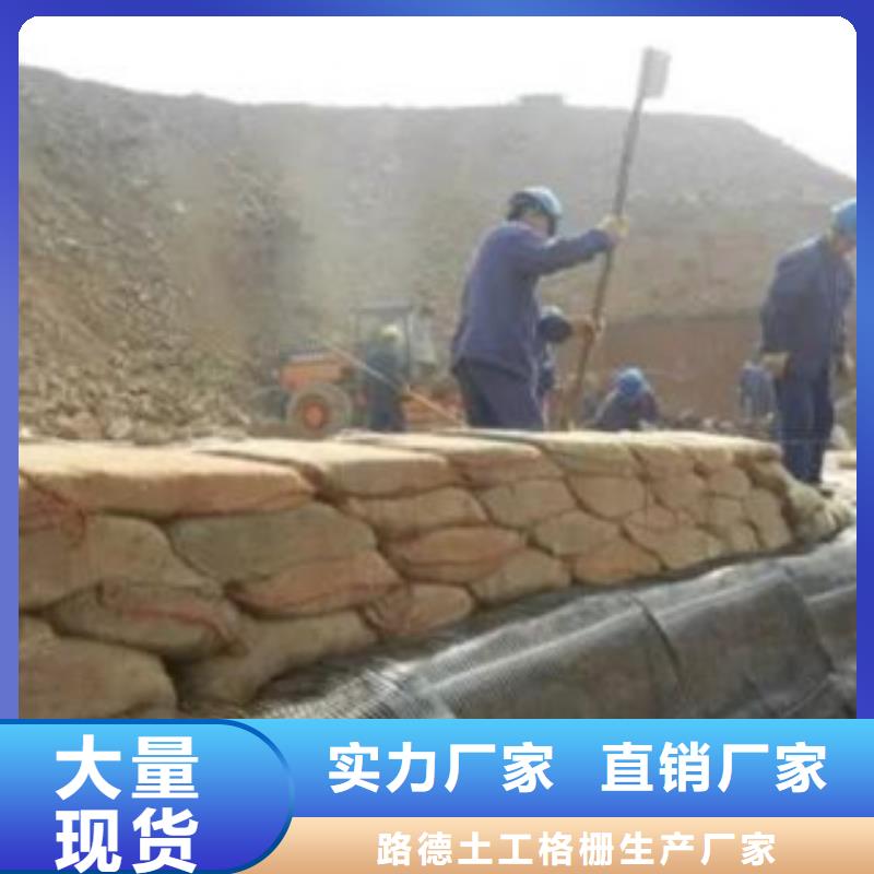 【 单向塑料格栅 塑料土工格栅来电咨询】 路德土工格栅生产厂家(漯河市分公司)
