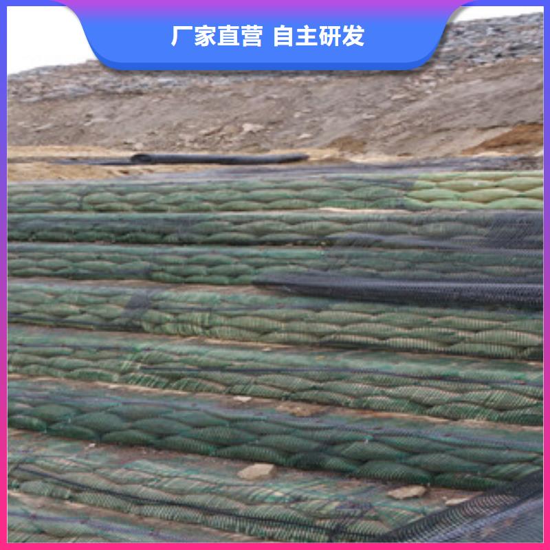 单向塑料格栅塑料土工格栅产地源头好货
