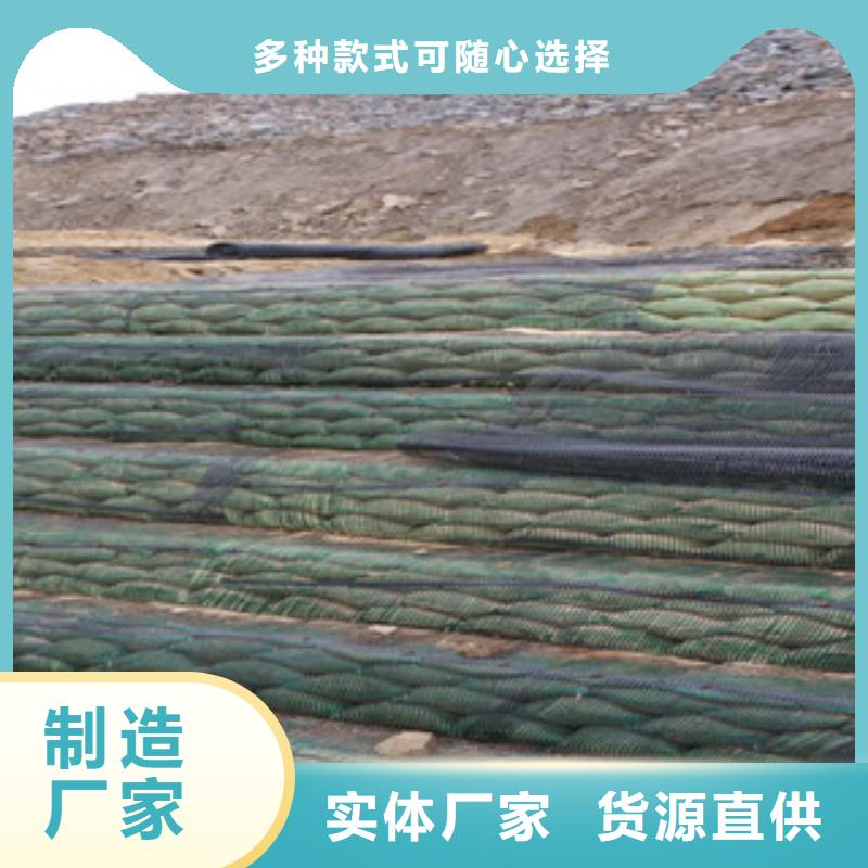 单向塑料格栅三维植被网质量检测