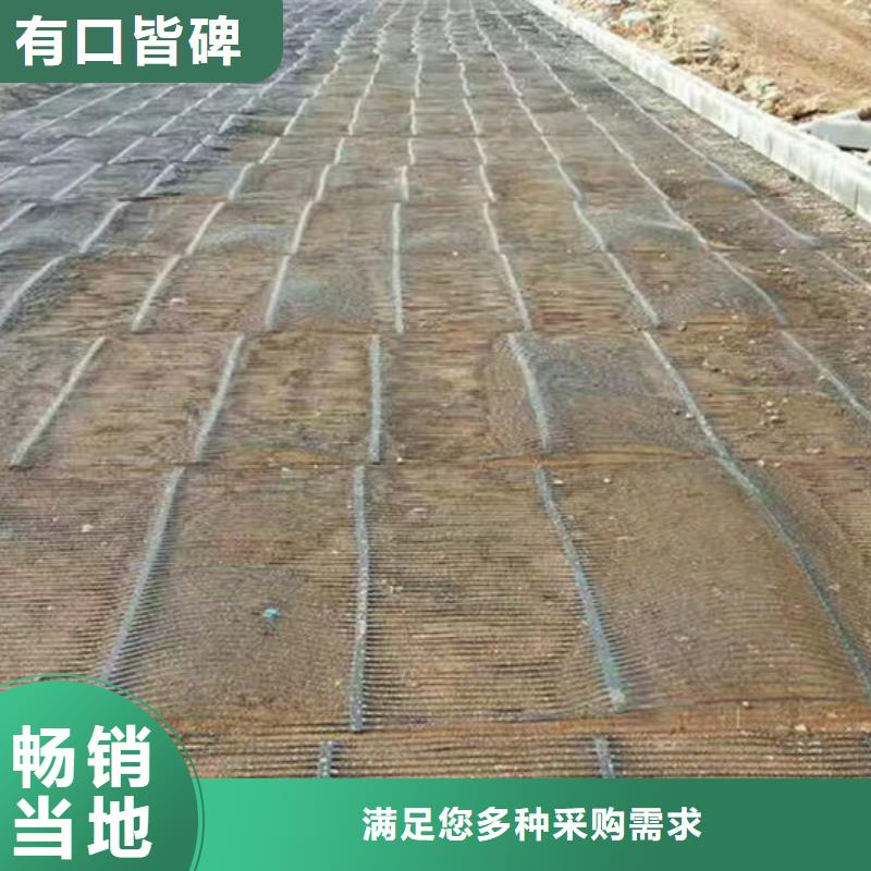 【 单向塑料格栅 塑料土工格栅来电咨询】 路德土工格栅生产厂家(漯河市分公司)