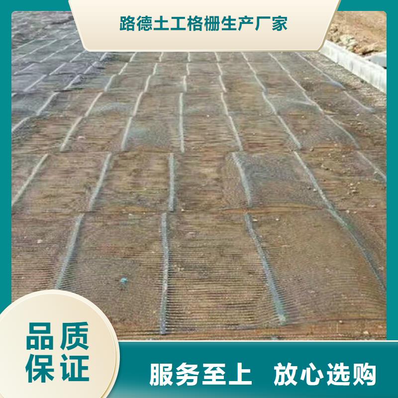 单向塑料格栅塑料土工格栅产品细节参数