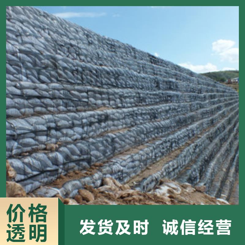 单向塑料格栅塑料土工格栅产地源头好货