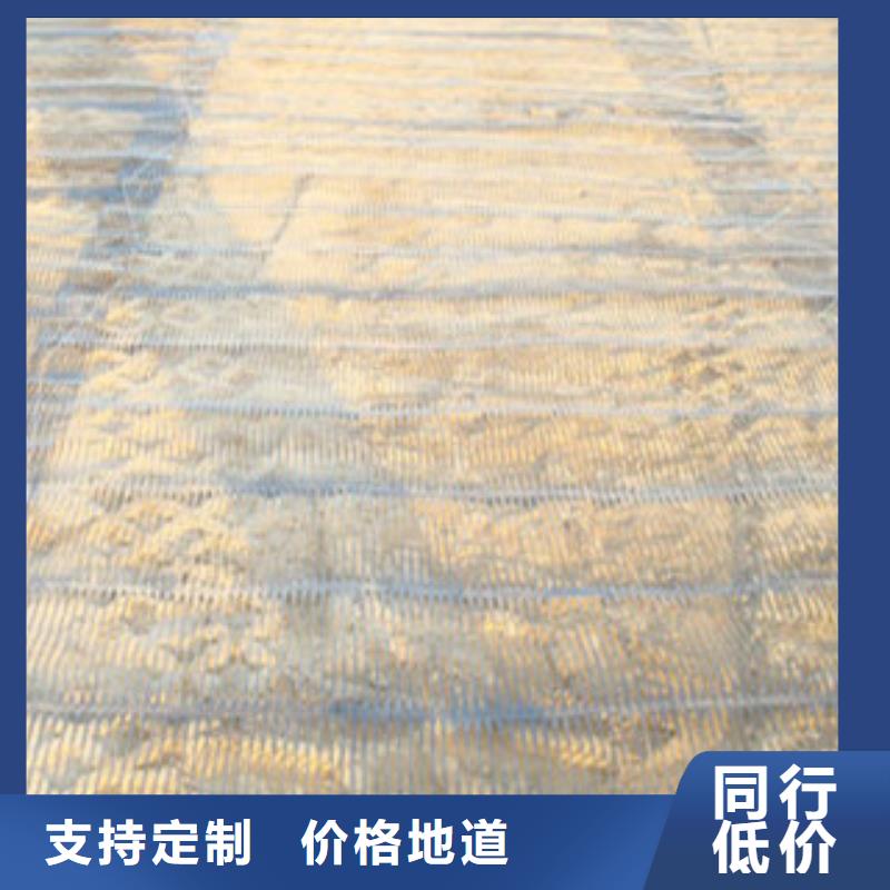 单向塑料格栅塑料土工格栅产品细节参数