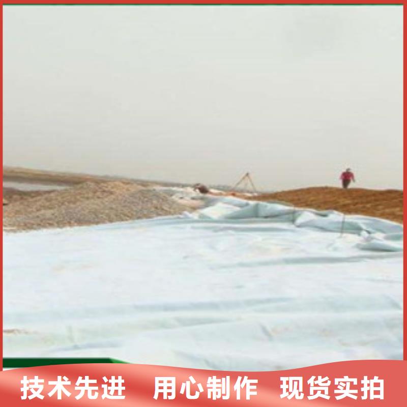 土工布塑料土工格栅专注生产N年
