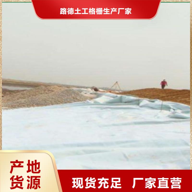 土工布塑料土工格栅专注生产N年