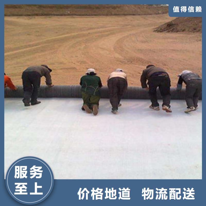 【膨润土防水毯】三维植被网支持拿样|三维植被网-路德土工格栅生产厂家(临汾市分公司)