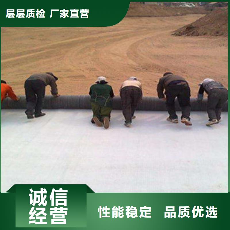 膨润土防水毯高强度土工网交货准时
