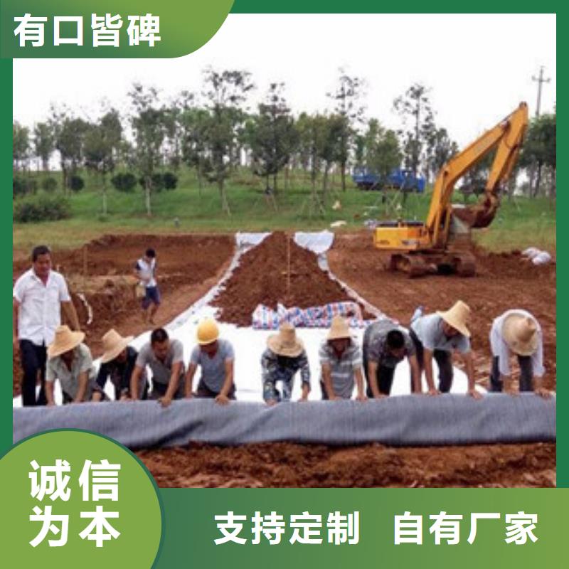 膨润土防水毯塑料土工格栅真材实料