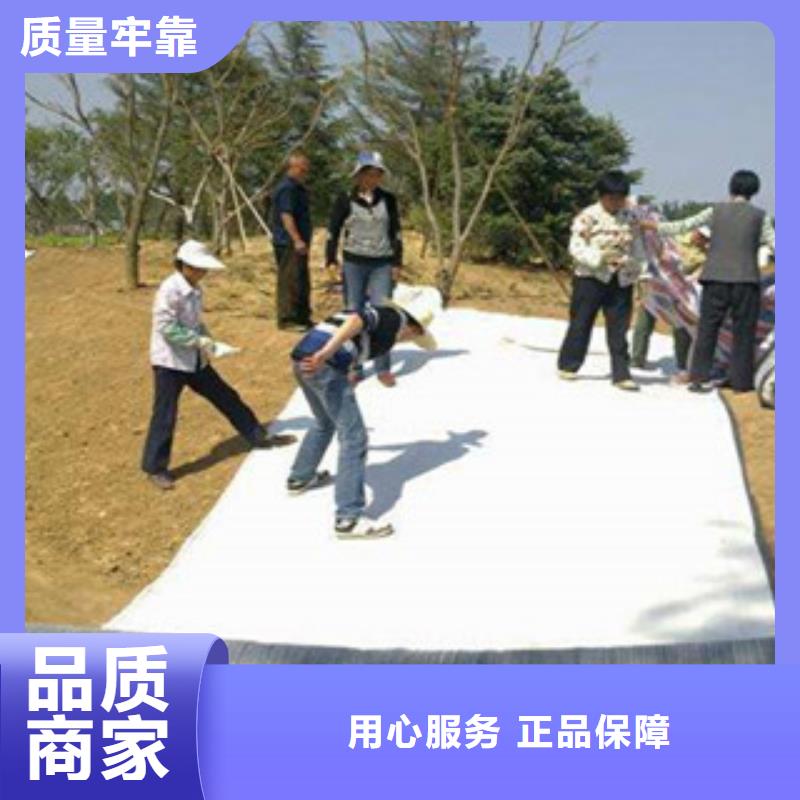 三维植被网视频-京山|沙洋|十堰|宜昌|咸宁|鄂州|荆州|黄冈路德三维植被网_ 路德土工格栅生产厂家(荆门市分公司)