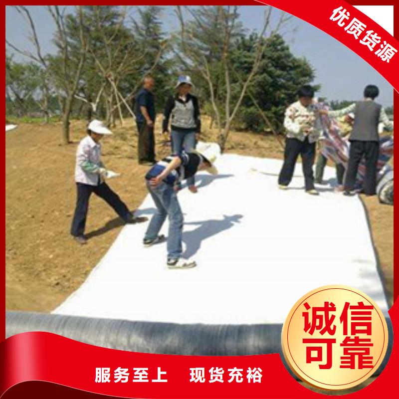 【膨润土防水毯】三维植被网支持拿样|三维植被网-路德土工格栅生产厂家(临汾市分公司)