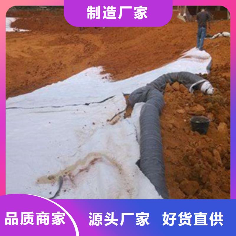 膨润土防水毯高强度土工网交货准时
