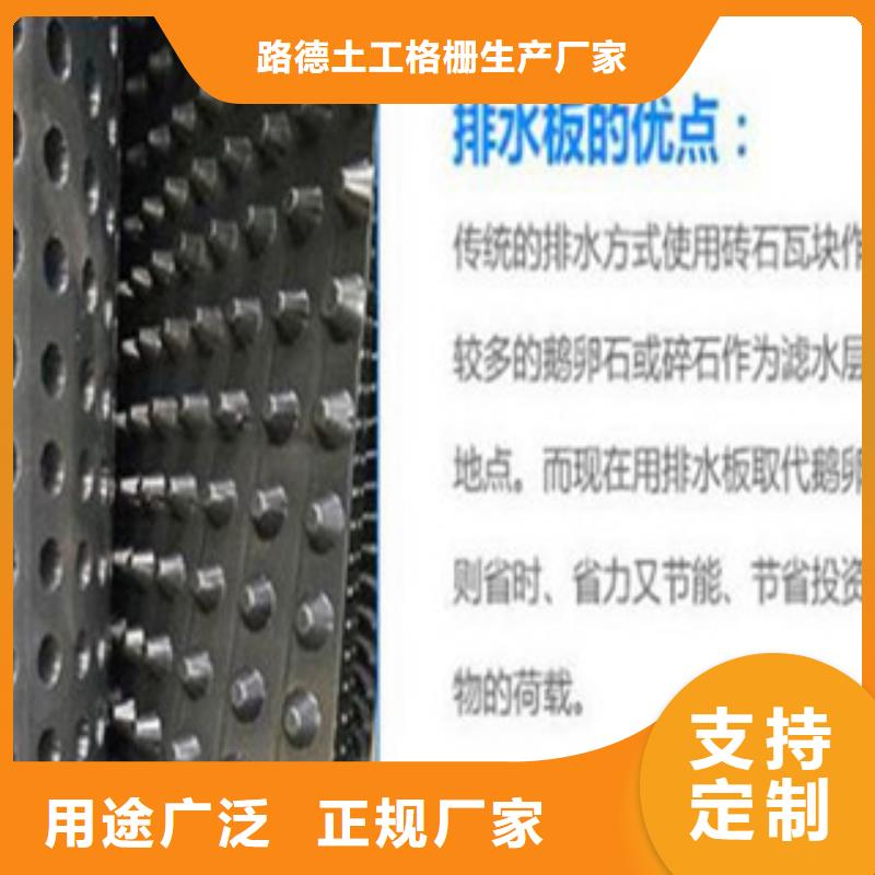 塑料排水板塑料土工格栅做工精细