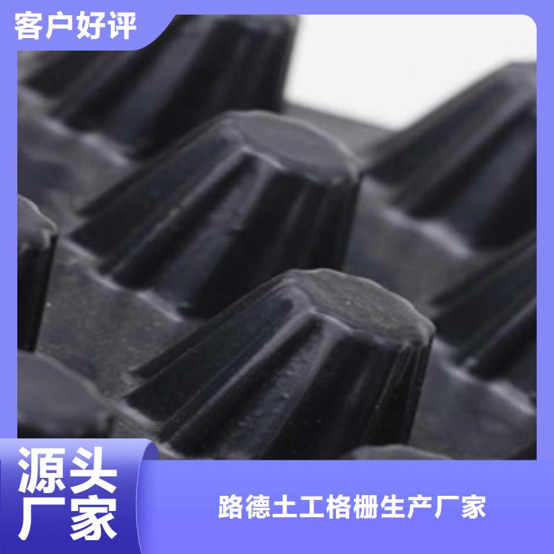 塑料排水板塑料土工格栅做工精细