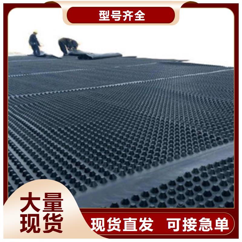 塑料排水板塑料土工格栅做工精细
