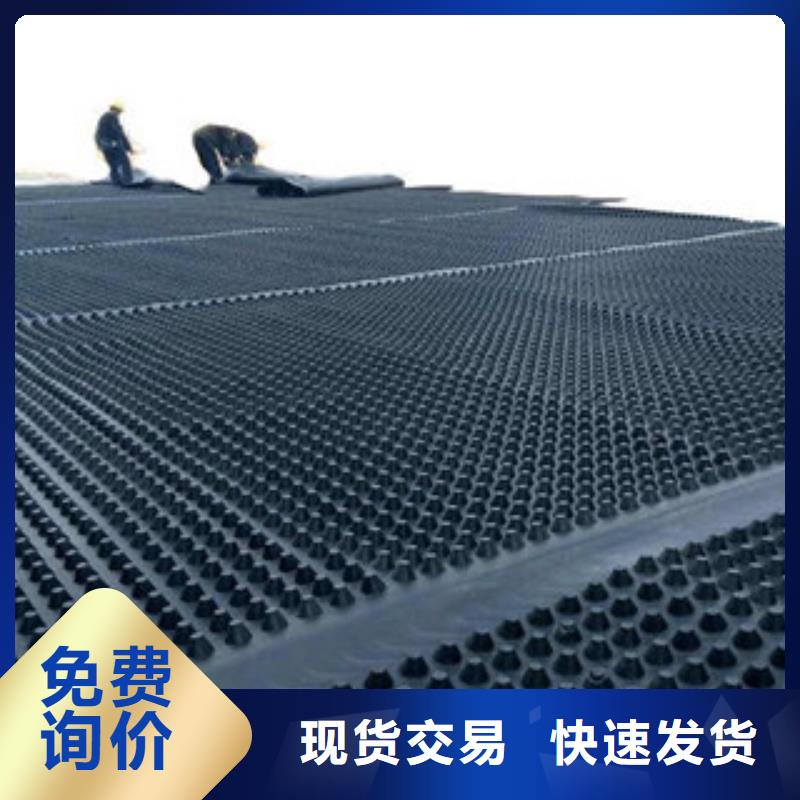 塑料排水板钢塑土工格栅优质货源