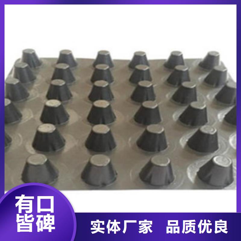 塑料排水板_三维植被网今年新款