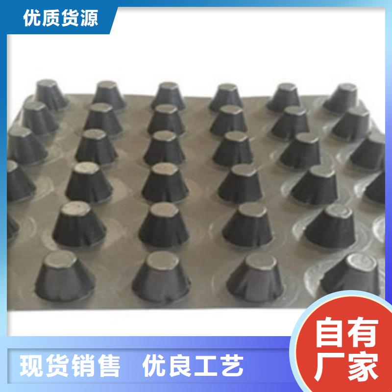 塑料排水板_玻纤土工格栅用心服务