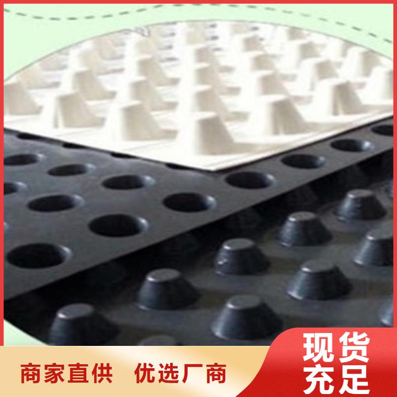 塑料排水板塑料土工格栅支持定制批发