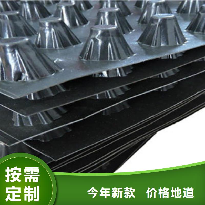 塑料排水板塑料土工格栅值得信赖