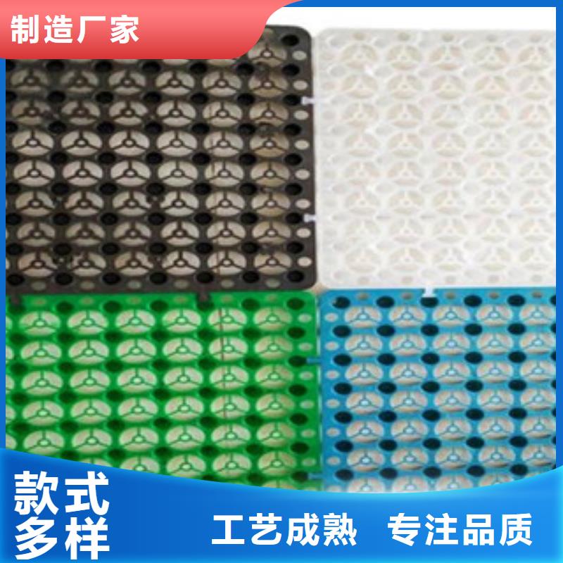 塑料排水板-防裂贴抗裂贴精挑细选好货