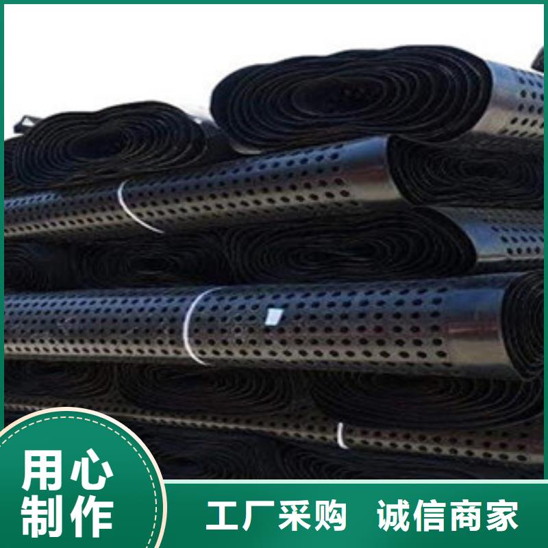 塑料排水板塑料土工格栅做工精细