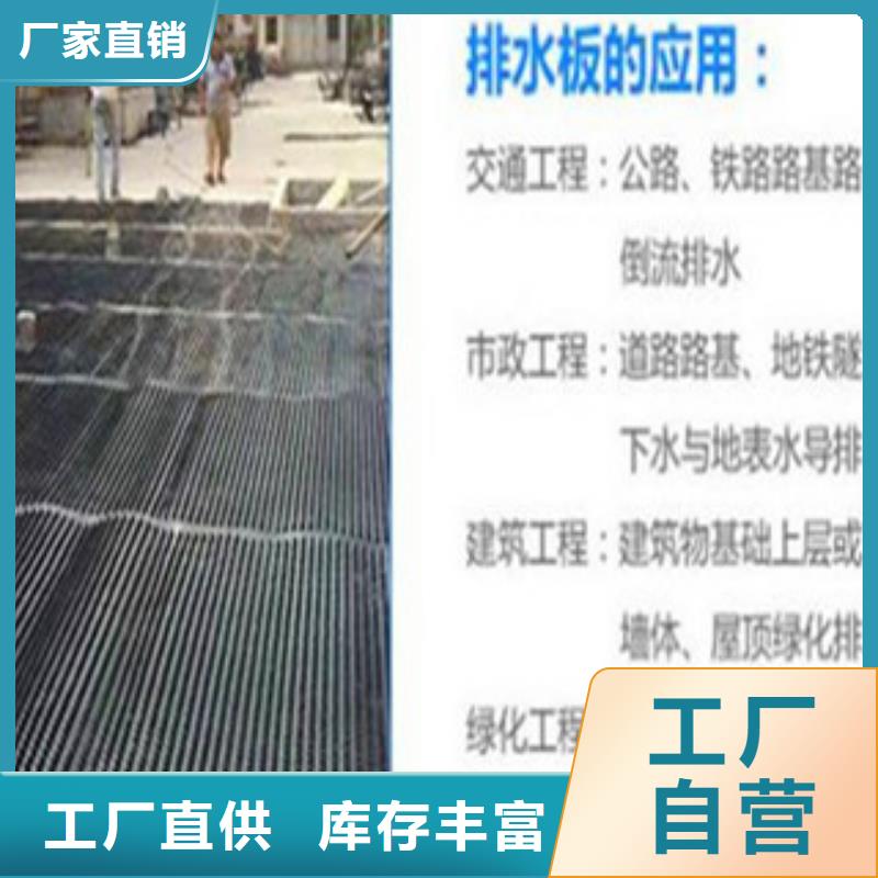 塑料排水板,塑料土工格栅大厂家实力看得见