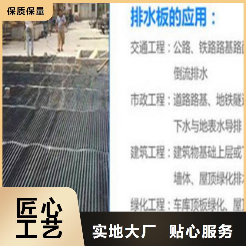 塑料排水板塑料土工格栅支持定制批发