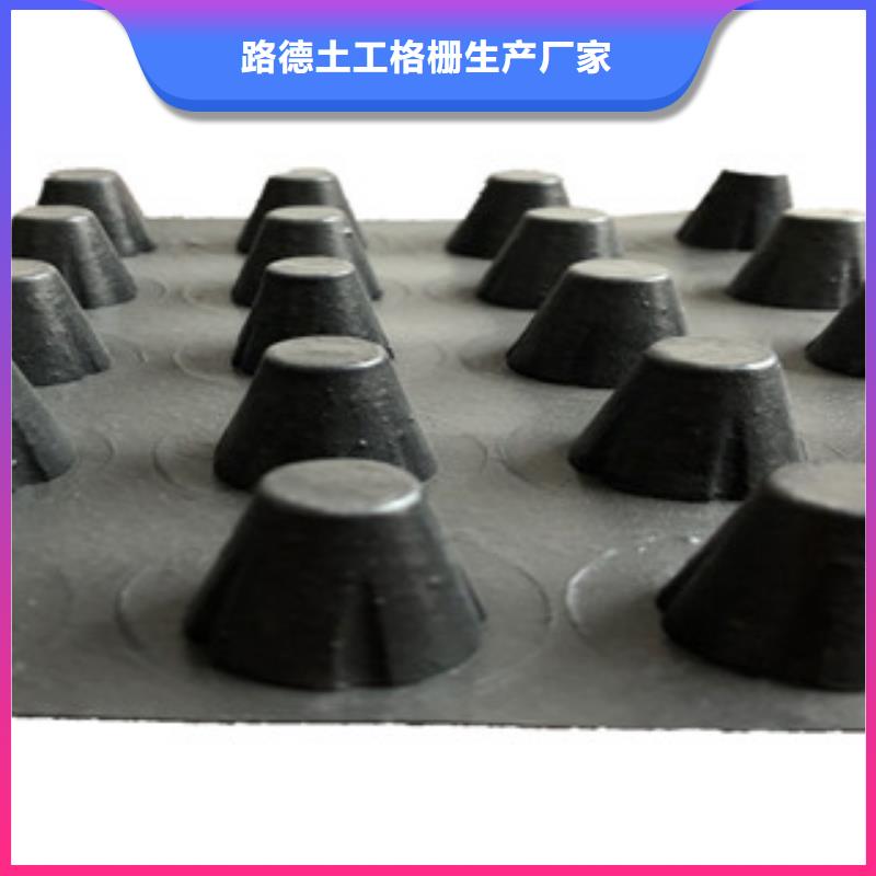 塑料排水板塑料土工格栅支持定制批发