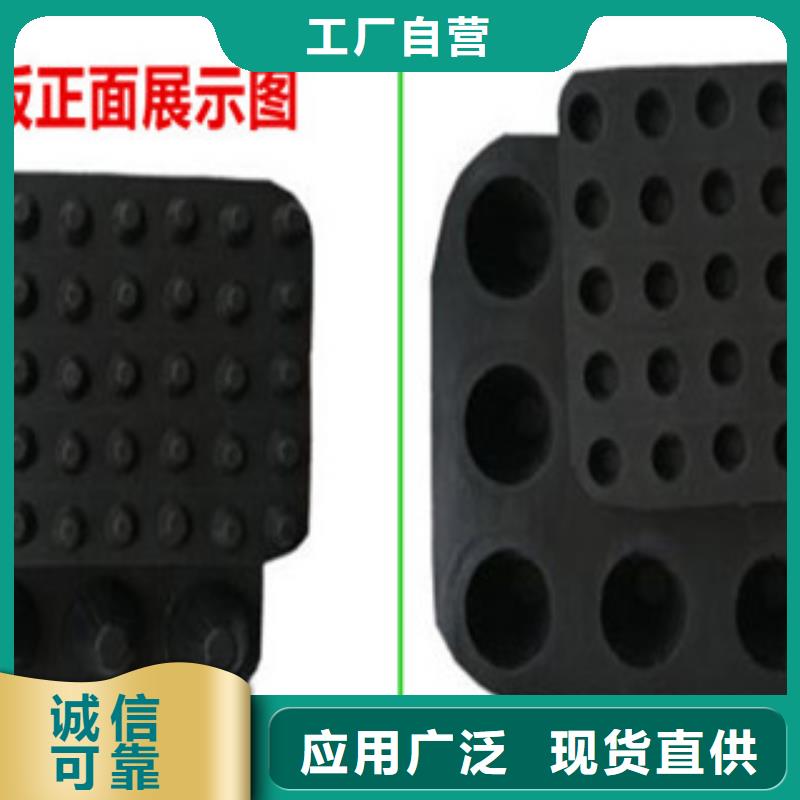 塑料排水板钢塑土工格栅优质货源